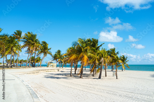 Beautiful Crandon Park beach in Key Biscayne in Miami © Fotoluminate LLC