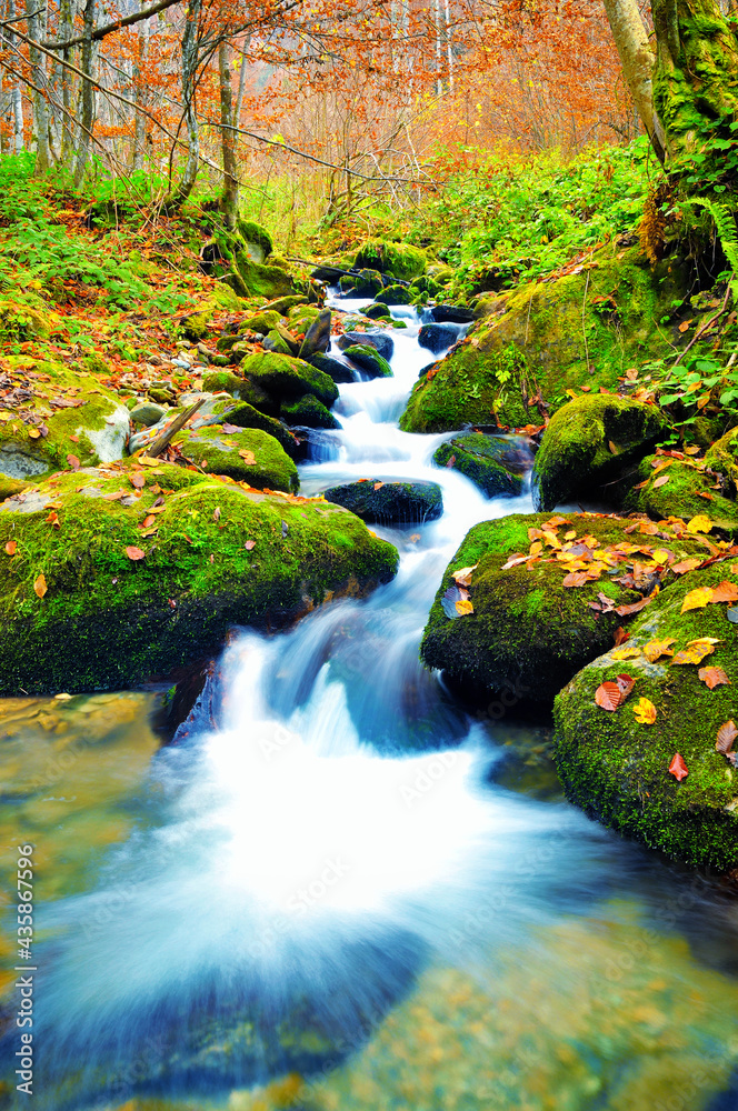 Mountain river in late Autumn
