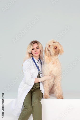 beautiful young woman vet doctor with a dog on a grey brackground