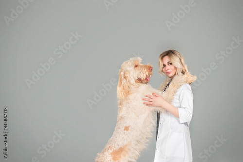 beautiful young woman vet doctor with a dog on a grey brackground