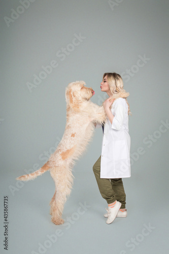 beautiful young woman vet doctor with a dog on a grey brackground