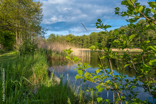 Fototapeta Naklejka Na Ścianę i Meble -  Pond in Upper Lusatia