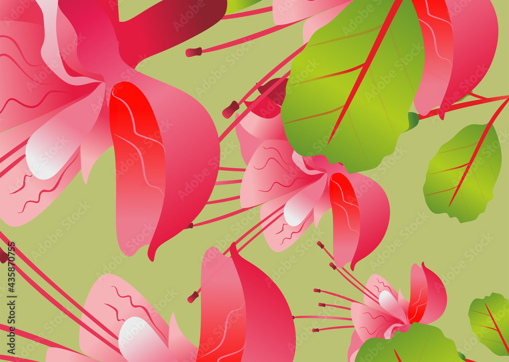 Background of flowers, fuchsia. Fuchsia pink. The background is summer. Plants and heat.