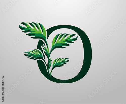 Letter O monstera green plant icon, tropical leaves decorative logo