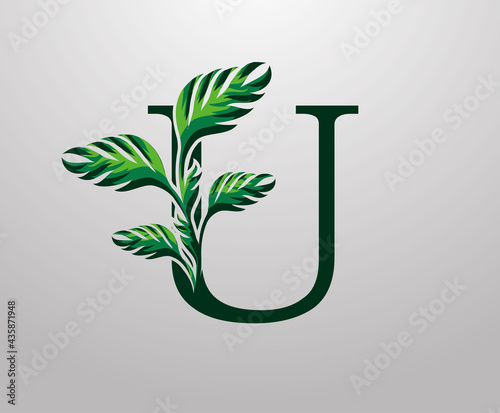 Letter U monstera green plant icon, tropical leaves decorative logo
