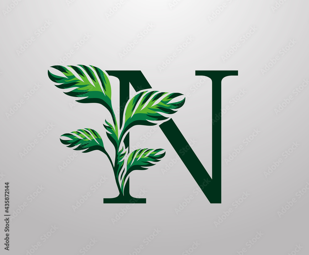Letter N monstera green plant icon, tropical leaves decorative logo Letter N monstera green plant icon, tropical leaves decorative logo
