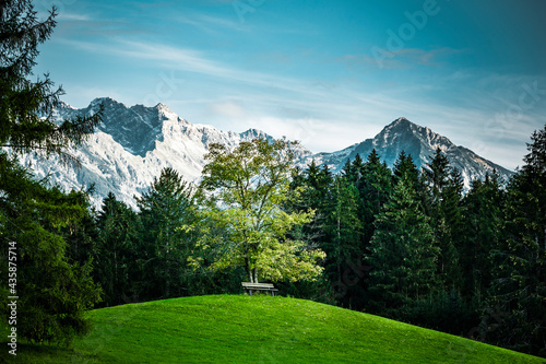Ruhebank an einem Baum bei Oberstdorf im Allgäu
