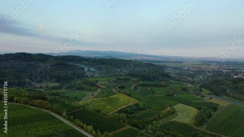 Aerial view of beautiful Vineyard landscape in Germany, Baden-Württemberg, Breisgau