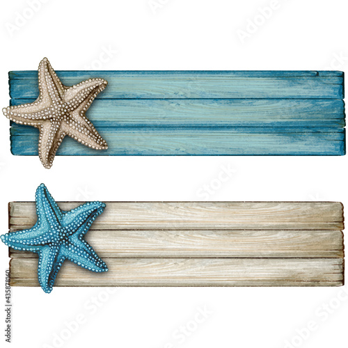 starfish on the beach