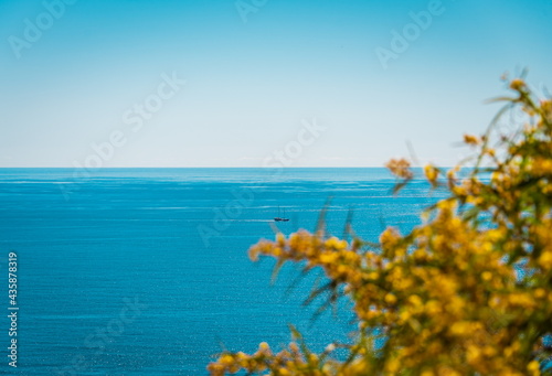 Tropical scenery, blue sea, floral foreground 