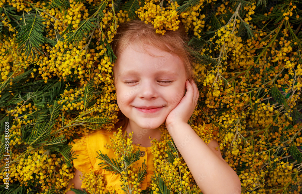 little girl with mimosa flowers little girl with mimosa flowers