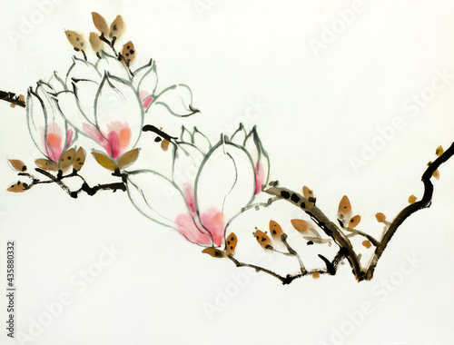 blooming magnolia branch