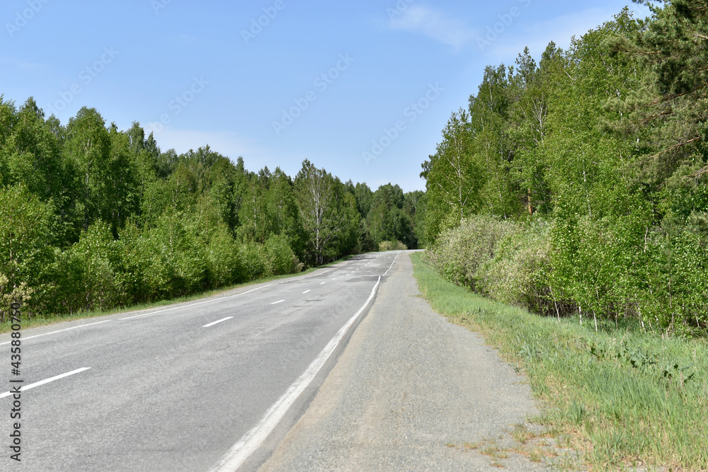 High speed asphalt road highway in the afternoon in the forest