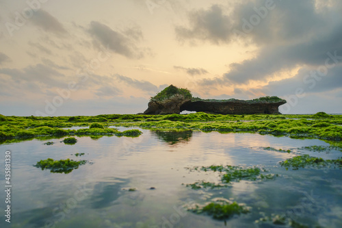 On the western coast of Okinawa, low tide leaves a small pool reflecting the evening sky, and the vigorous green seaweed covers the surrounding reef like a carpet.