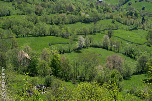 Sheepfold on the hill