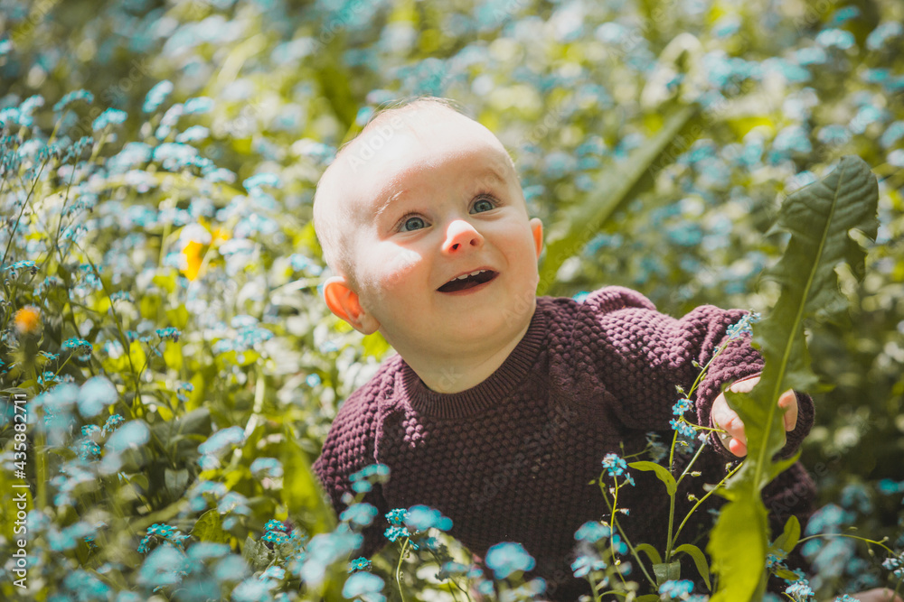 A nine month old boy in a forget-me-nots