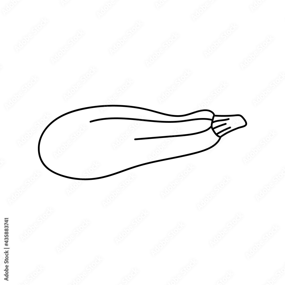 Zucchini outline doodle icon isolated on a white background. Vegetarian healthy food. Vector sketch illustration for icon, web, mobile, infographics, logo, print, icon, card, emblem, label, food menu Zucchini outline doodle icon isolated on a white background. Vegetarian healthy food. Vector sketch illustration for icon, web, mobile, infographics, logo, print, icon, card, emblem, label, food menu