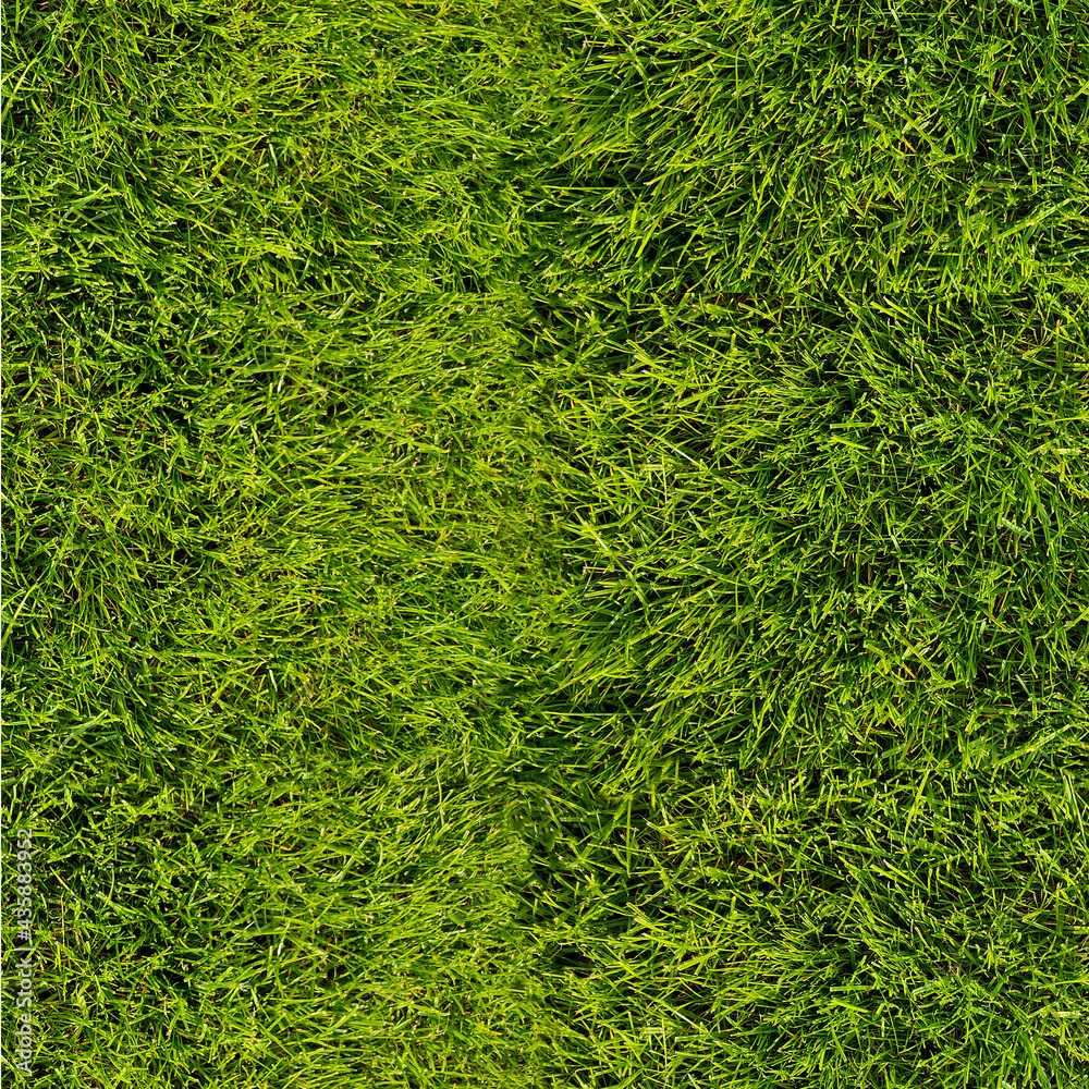 Seamless green fresh grass background. Closeup top view.