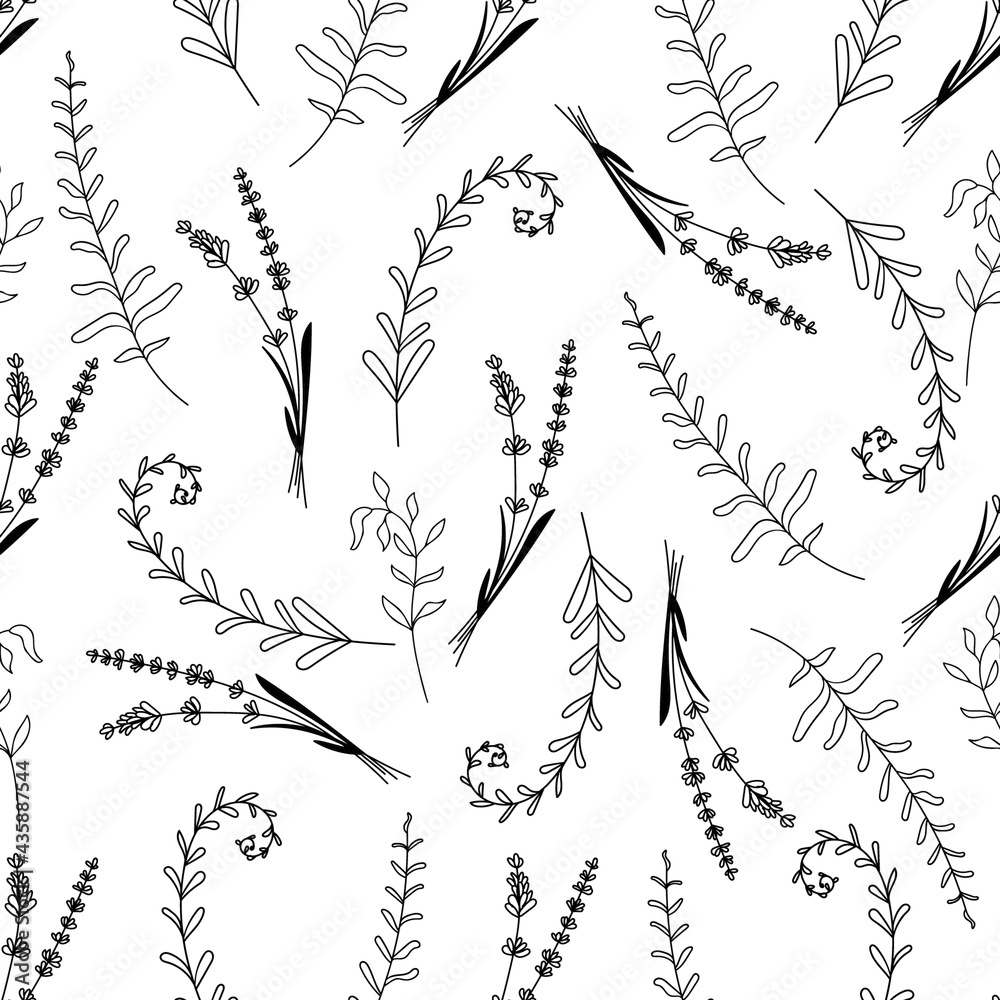 Fototapeta premium Doodle style wild flowers and herbs. Hand drawn elements. Herbal seamless pattern isolated on white background.