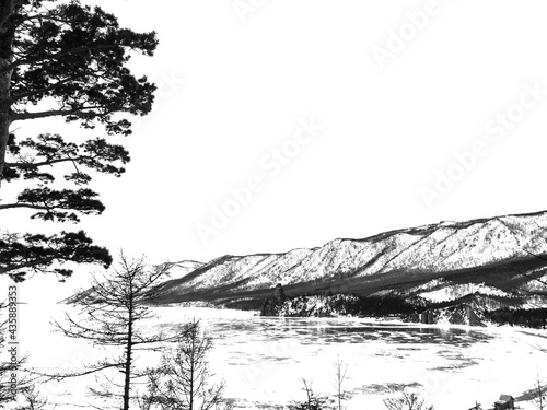 Landscape with snow-covered trees. Black and white photography.