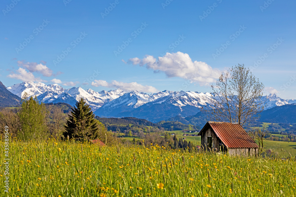 Allgäu - Frühling - Stadel - Blumen - Berge Allgäu - Frühling - Stadel - Blumen - Berge