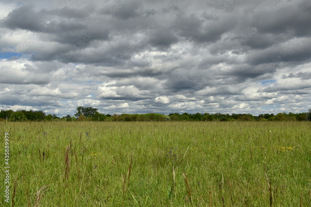 Düstere Wolken über dem Naturschutzgebiet Taubergießen