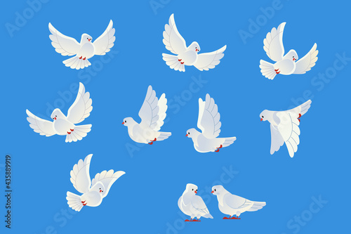White doves. Beautiful pigeons faith and love symbol. Cartoon style. Isolated on blue background. Vector illustration.