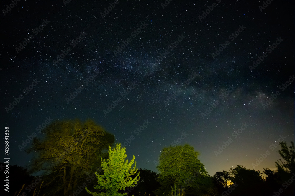 night starry sky with milky way above forest glade, night outdoor landscape night starry sky with milky way above forest glade, night outdoor landscape