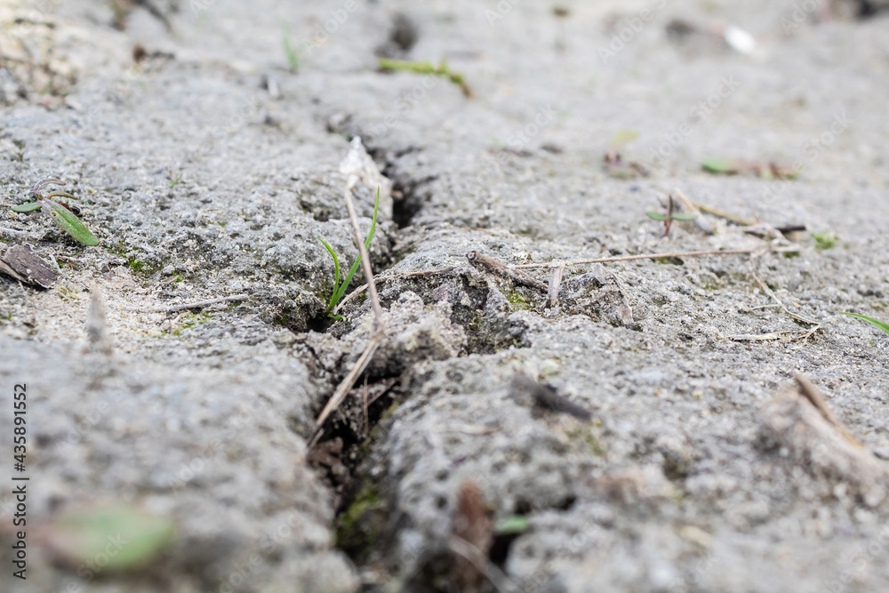 Split ground after rain. Crack in the sandy surface. The surface of the sand Split ground after rain. Crack in the sandy surface. The surface of the sand