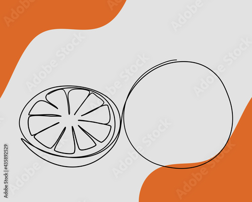 Continuous line, Orange fruit with orange slices. Drawing of set Fruit. (Vector illustration one line drawing)