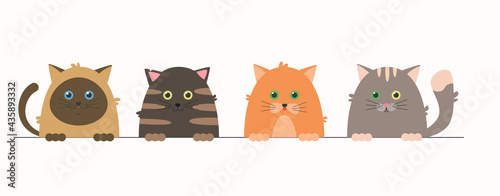 Set of vector cartoon cats. Funny fat cats. Colorful vector pets. Cute kittens. Vector domestic animals. Cat in stripes, thai cat.  Flat illustration.