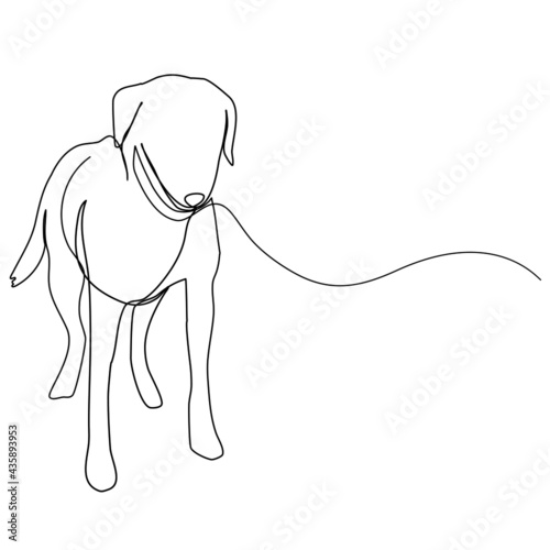Continuous line, dog with leather leash waiting to go walkies. Drawing of set Pet. (Vector illustration one line drawing)