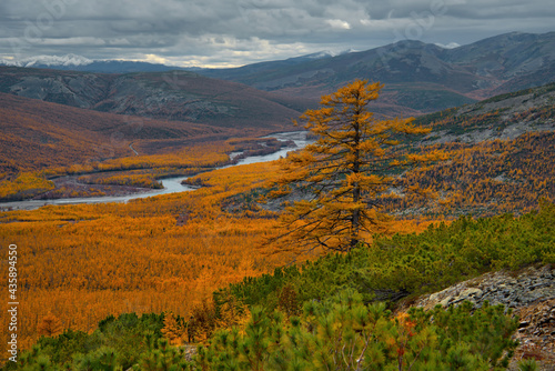 Russia. Far East  Magadan region. Panoramic view of the valley of the Big Kupka River  a tributary of the Kolyma River  from the top of the mountain pass.