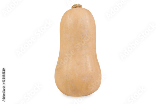 Butternut pumpkin isolated on white background 