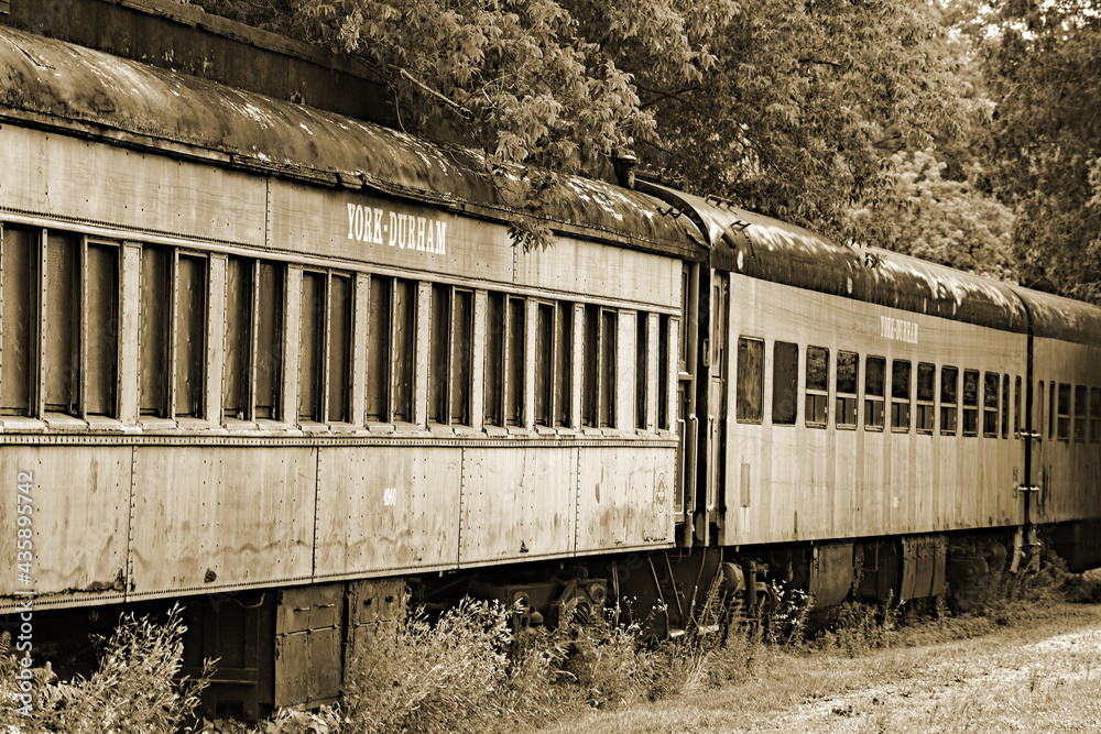 Obraz premium York Durham Railways