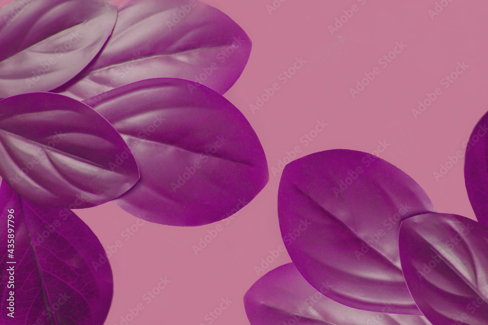 Purple Leaf Background Burgundy Border Monochrome