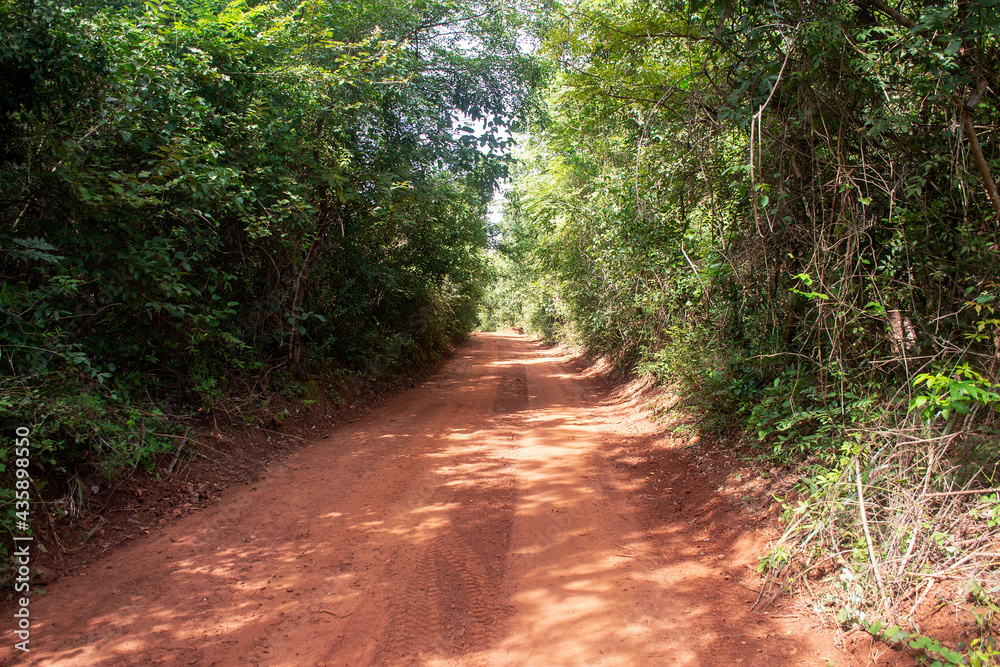 Fototapeta premium Dirt ground road crossing farm