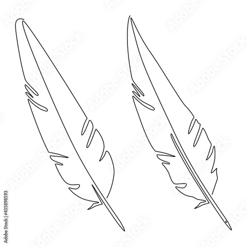 Bird feather. Continuous line drawing. Vector illustration isolated on white background.