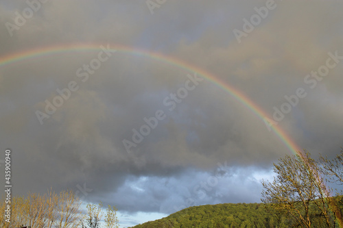 Regenbogen