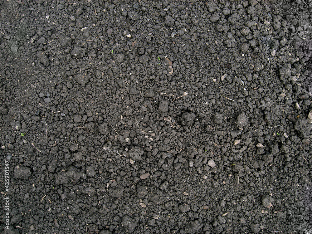 Dry soil texture Dry soil texture