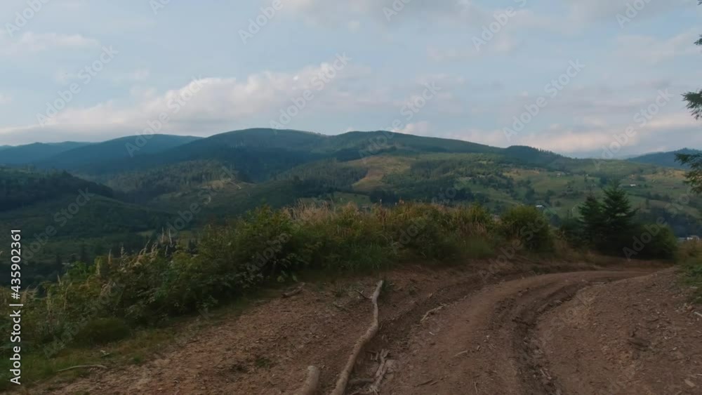 walking on road in carpathian forest summer day. walking on road in carpathian forest summer day.