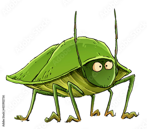 Southern green stink bug illustration photo