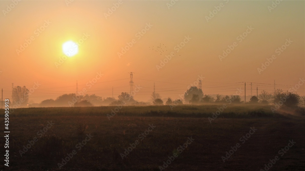 sunrise over the city