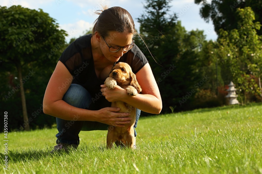Amazing, newborn and cute red English Cocker Spaniel puppy detail. Cocker Spaniel puppy in human hug.