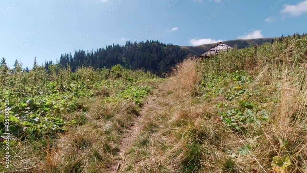 Hiking in Carpathian mountains summer sunny day. FPV Hiking in Carpathian mountains summer sunny day. FPV