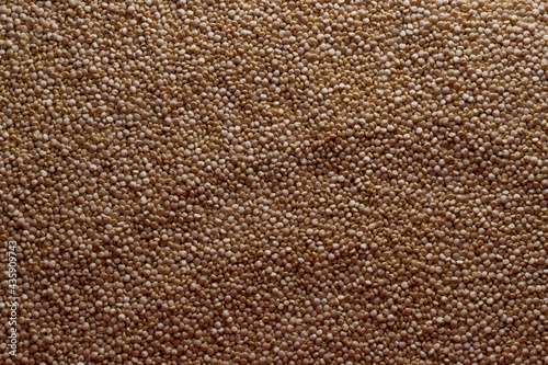 leather texture