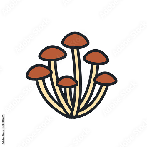 Agaric honey icon. Vector isolated linear color icon contour shape outline. Thin line. Modern glyph design. Mushrooms. Food ingredients.