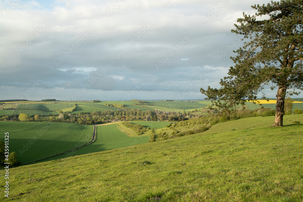 English landscape of rolling hills and meadows, late afternoon