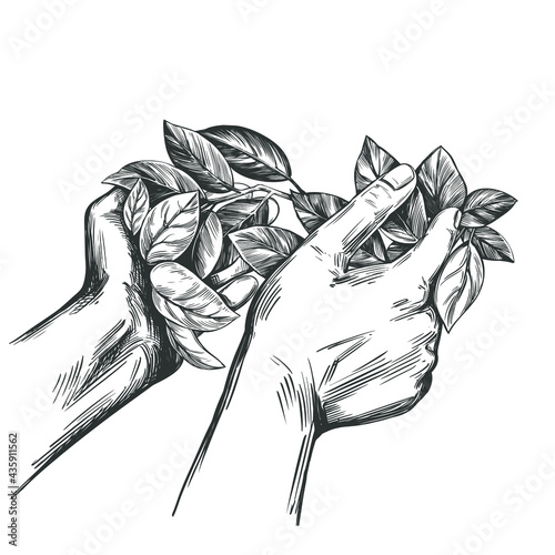 award, laurel wreath in the hands, hand drawn vector illustration realistic sketch