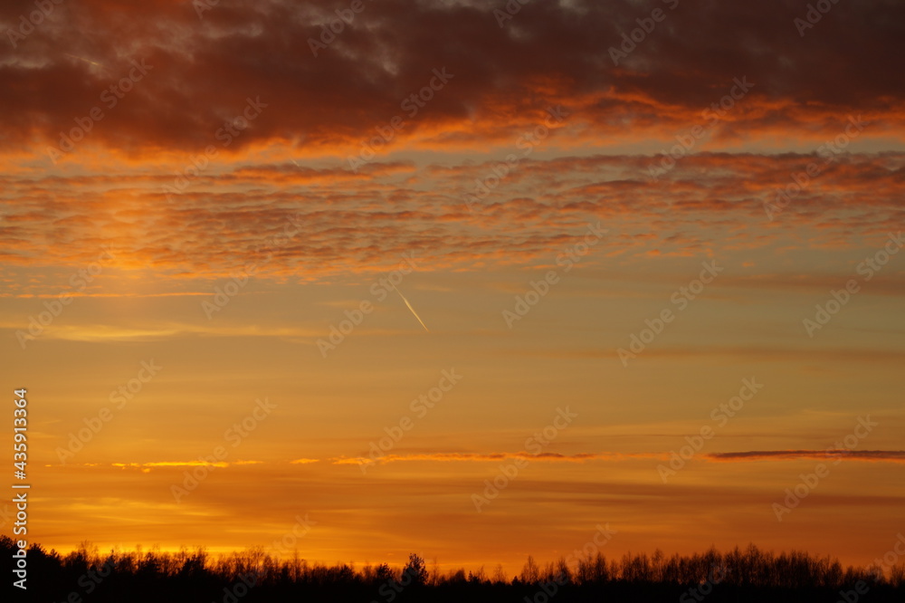 sunset in the field